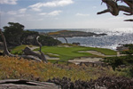 Cypress Point Golf Course - 15th Hole